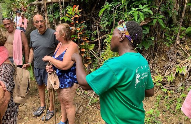 Soufriere Volcano Experience