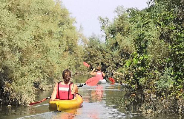 Private Kayak Tour in the Venetian Lagoon