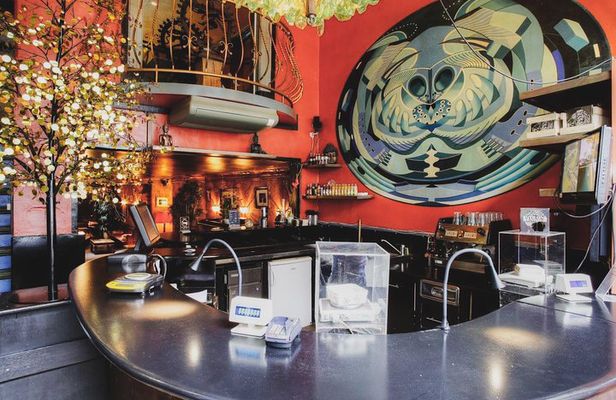 Private Amsterdam Red Light District and Coffee Shop Tour with Expert Guide