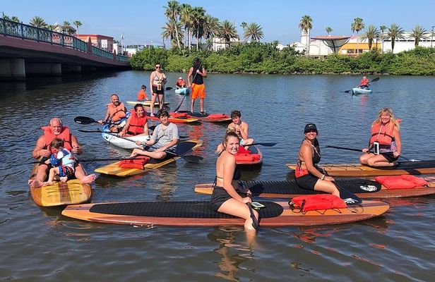 Dolphin and Manatee Paddleboard Tour