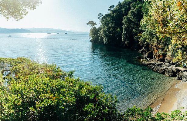 Snorkel Tour in Paraggi Bay