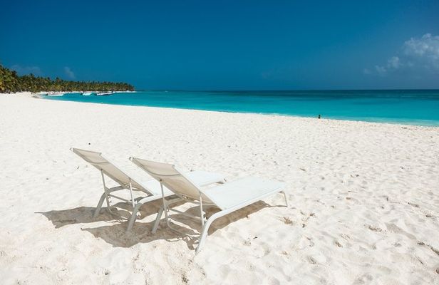 Saona Private Full-Day Tour from Punta Cana