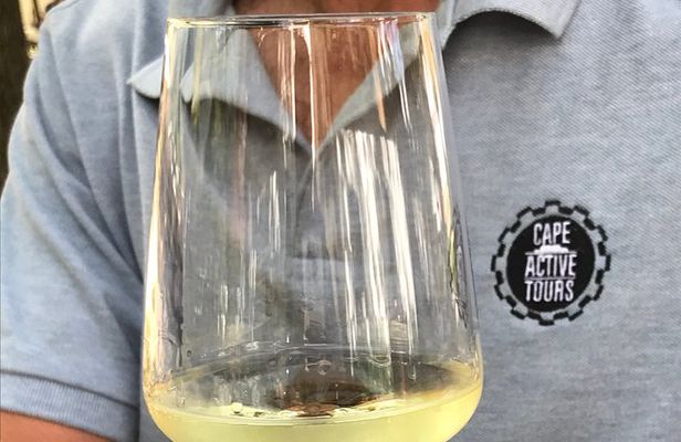 Cape Peninsula Cycle Tour