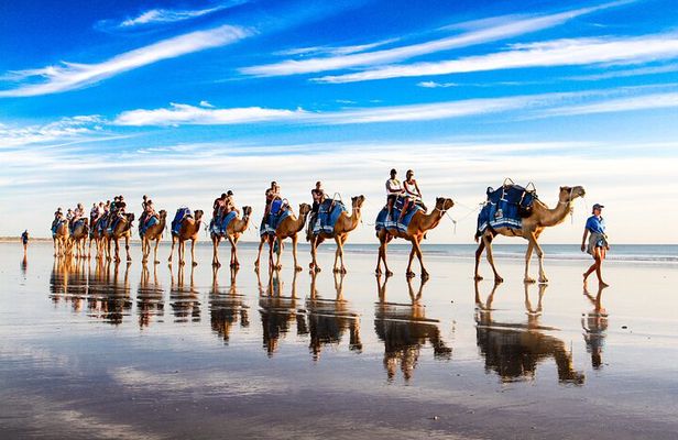 Broome Pre-sunset Camel Tour 30 minutes