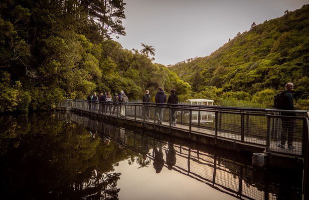 Zealandia - Twilight Guided Eco Wildlife Tour