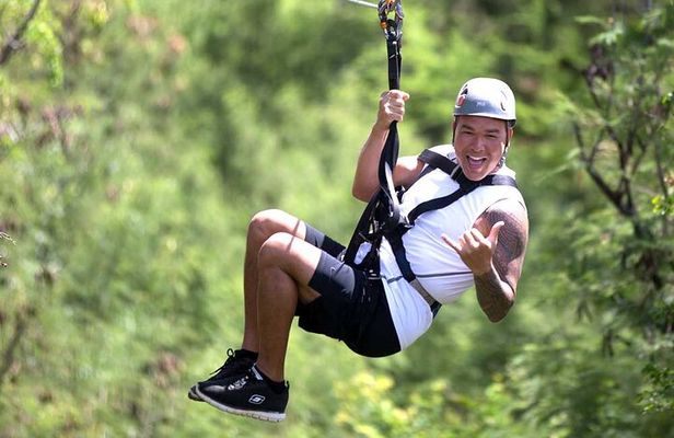 3 Zipline Adventure (Optional Waikiki Shuttle for 10am Tours)