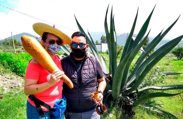 Tour de Pulque en Tepotzotlán, Pueblo Mágico