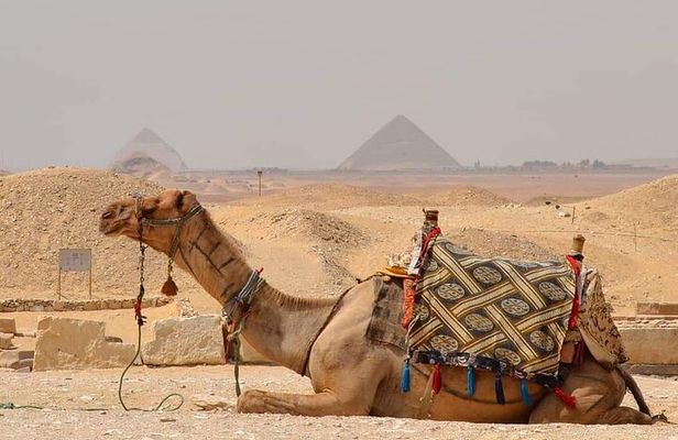 Sunrise or Sunset Horse carriage Ride at Pyramids Desert