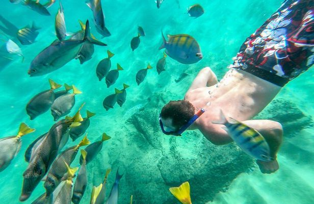 Arch Views & Snorkeling Paradise at Chileno Beach