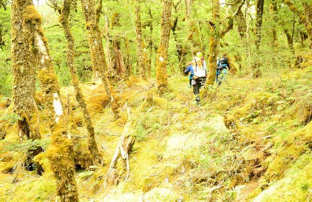 Mt Aspiring Full Day Canyon ex Queenstown or Wanaka