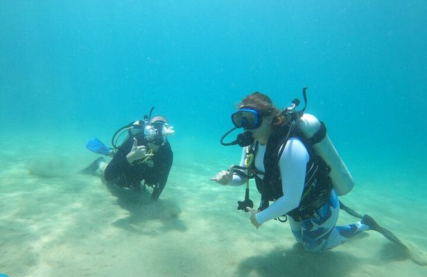 Beginner Scuba Diving Guided Tour - No Experience Required