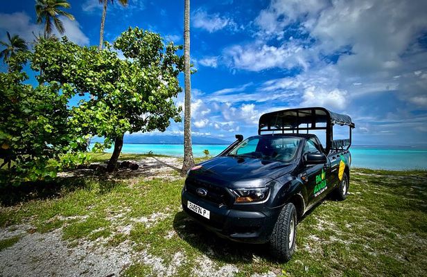 Enjoy Moorea Private day tour