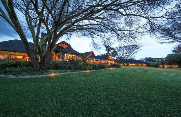 3 days Maasai Mara private Lodge safari at Keekorok from Nairobi