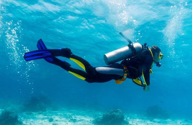  Diving Full Day Boat Trip - Marsa Alam