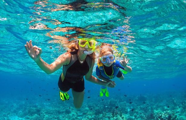 Island Tour with Snorkeling in West Bay Honduras