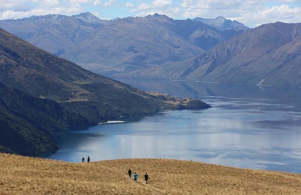 Wanaka High Country Walk