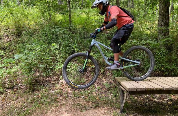Guided mountain bike on sale tours