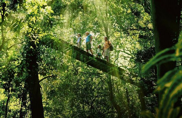 Lamington National Park, O'Reilly's & Vineyard Tour