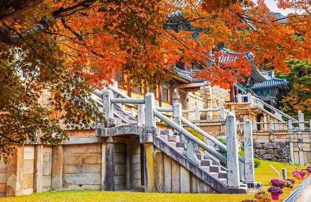 Korail Day Trip to Gyeongju's Unesco World Heritage Sites from Seoul