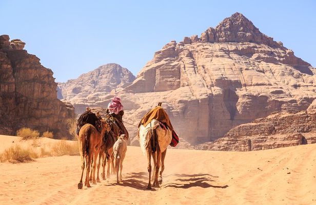 Private Martian Wadi Rum Overnight Bedouin Experience from Amman