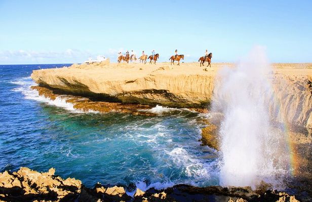 Aruba's Northern Coast Horseback Adventure
