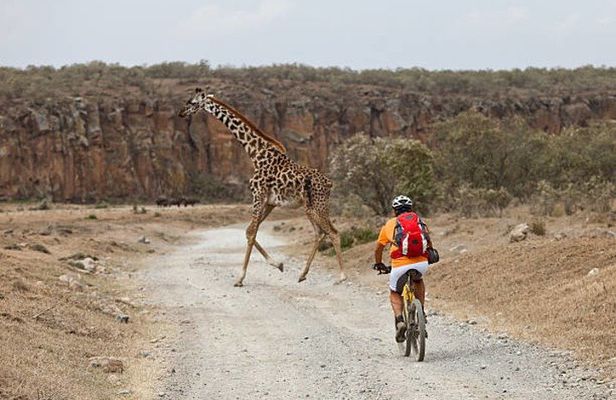 Hell's Gate National Park Private Bike Tour from Nairobi