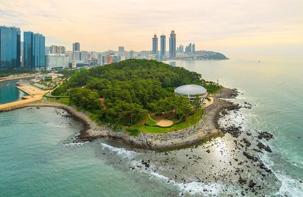 Busan Overnight KORAIL Tour from Seoul
