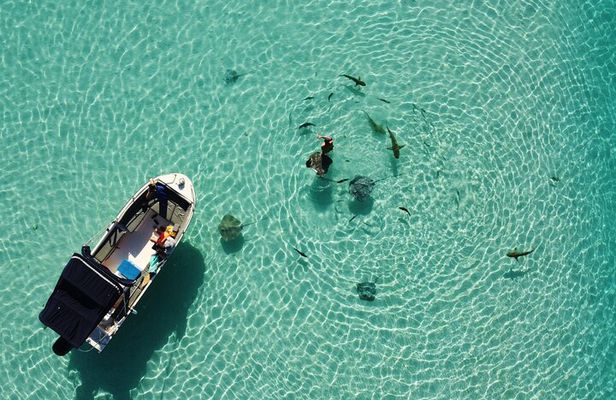 Snorkeling excursion, discovery of the lagoon, small group.