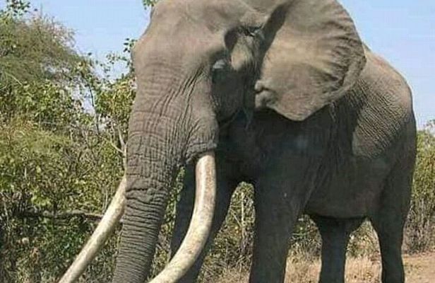 Latest Updates On The Top Best 3 day Serengeti Migration Safari