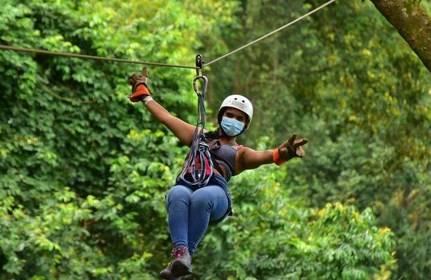 Rainforest Canopy Adventure Pacific