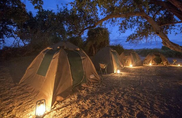 2 Nights 3 Days Chobe Safari ex Livingstone/ Victoria Falls