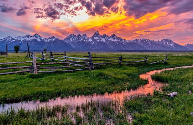 Luxury Private Half-Day Grand Teton National Park Tour