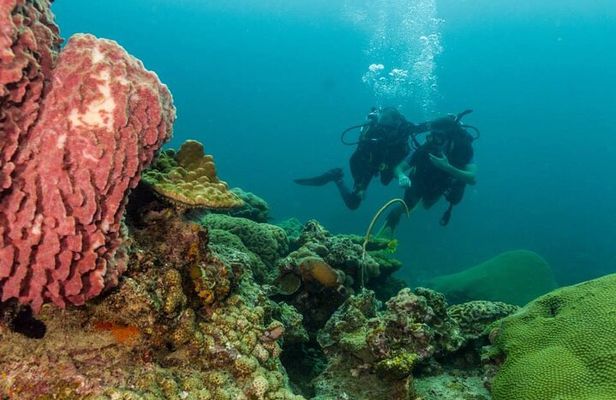 Discover SCUBA Diving