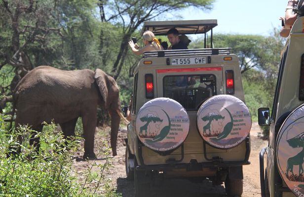6-Day Big Five Magic Safari Tour