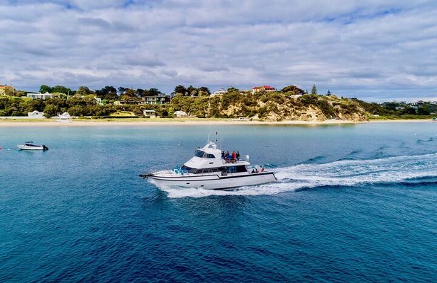 1.5hour Scenic and Wildlife luxury cruise