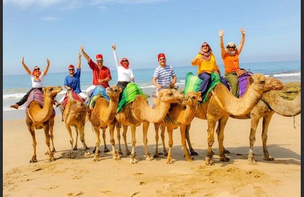 luxury 4 Hour Private Tour of Tangier 
