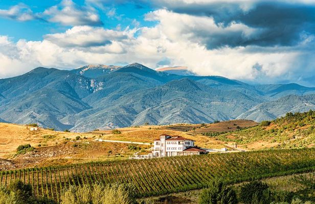 Wine Tasting & More in Villa Melnik – One of the World’s Best Wineries
