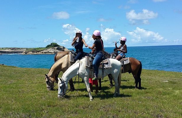 Horseback Riding Adventure Tour in St. Lucia