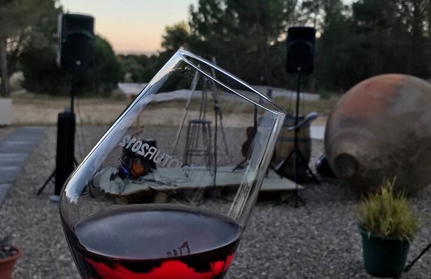 Visit and Wine Tasting at the Territorio Luthier Winery
