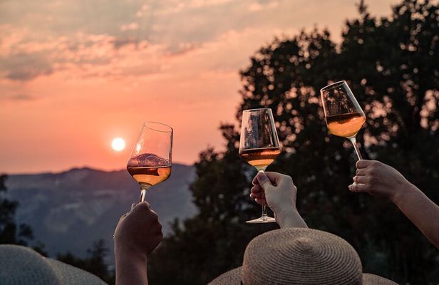 Sunset wine tasting in vineyard