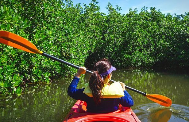 Tropical Kayak Tour