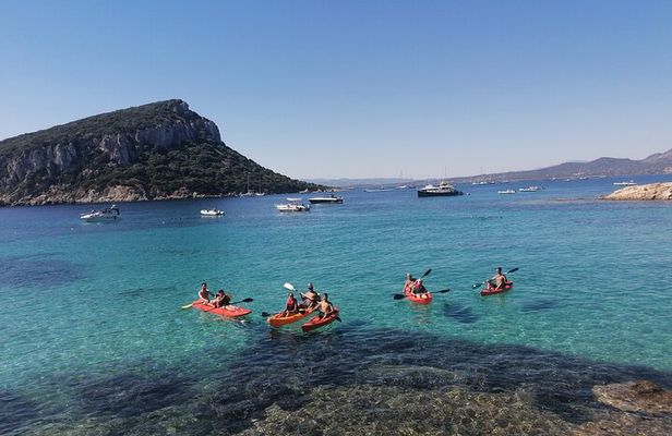 Kayak tour with aperitif and dolphins