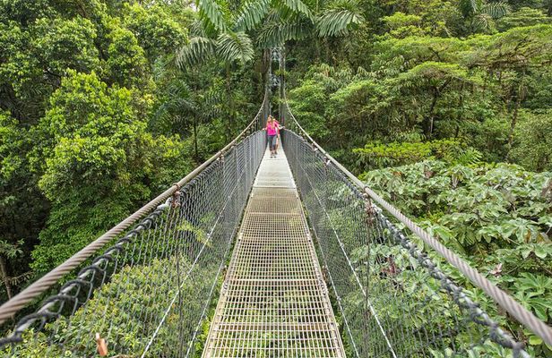 Congo Combo: Thrilling Hanging Bridges and Zipline Adventure