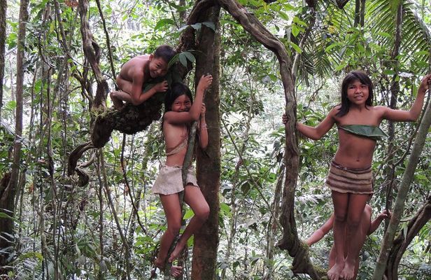 4-Days Private Huaorani Amazon Adventure