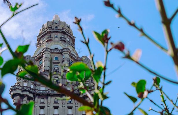Discover the Best of Montevideo with a Local Expert! 