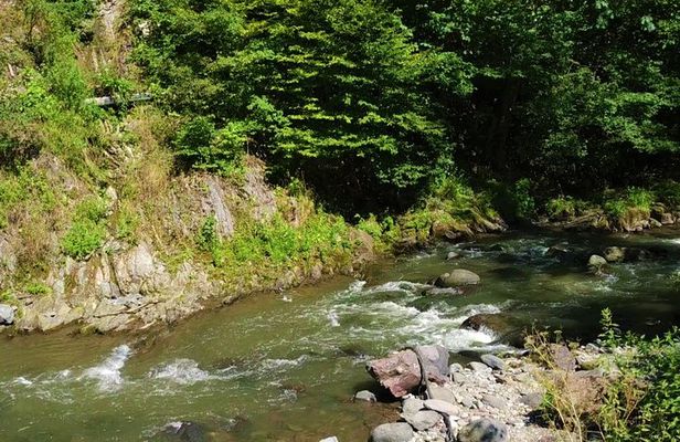 Tbilisi-Kutaisi-Batumi Tour in Georgia 8 Days/7 Nights