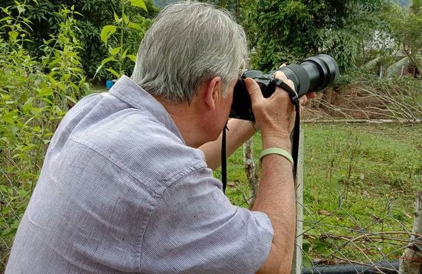 Birdwatching: Desaru's Winged Gems