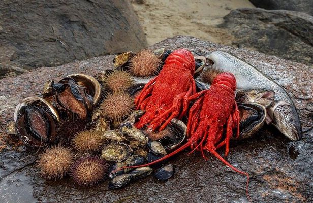 Tasmanian Seafood Gourmet Full-Day Cruise Including Lunch