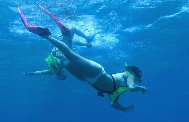 Reef and Turtle Adventure - Kayak and Snorkel Tour