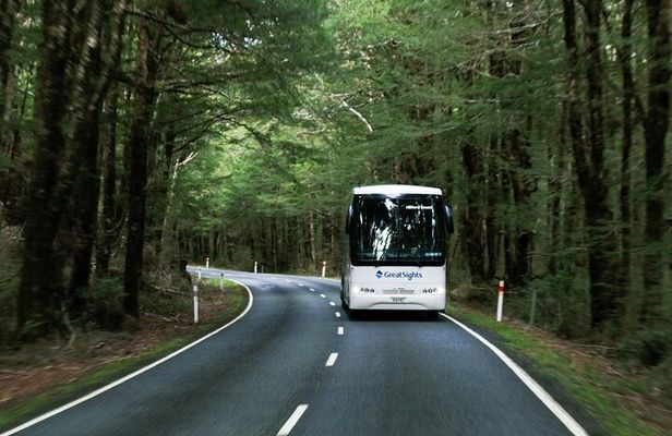Milford Sound Full-Day Tour from Te Anau